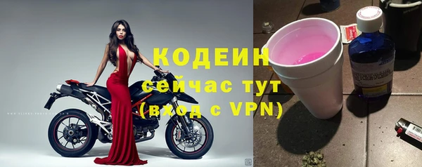 молекула духа Протвино