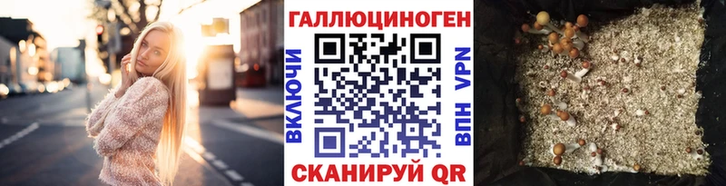 Псилоцибиновые грибы ЛСД  сайты даркнета наркотические препараты  Мензелинск  закладки 